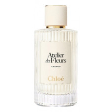Chloe Cedrus