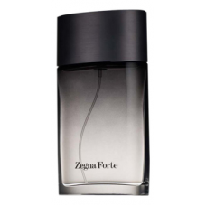 Ermenegildo Zegna Forte Man