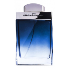 Salvatore Ferragamo Subtil Pour Homme
