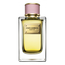 Dolce & Gabbana Velvet Rose
