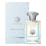 Парфюмерная вода Amouage Portrayal Man